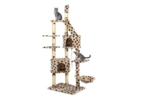 Pořiďte si domů škrabadlo pro kočky dřív než samotnou kočku