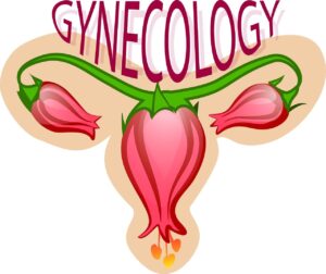 Endometrióza ve 3 otázkách a odpovědích. O co jde?